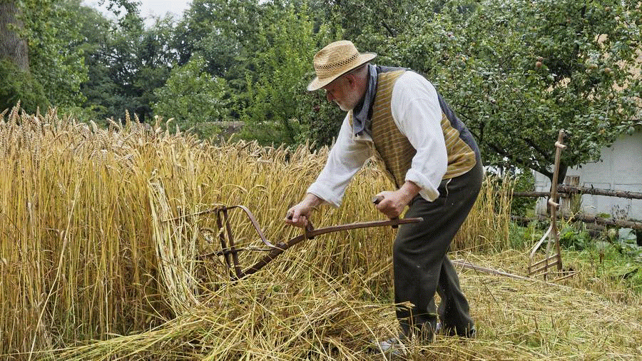 landmand fra gamle dage